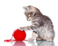 Игрушки для кошек